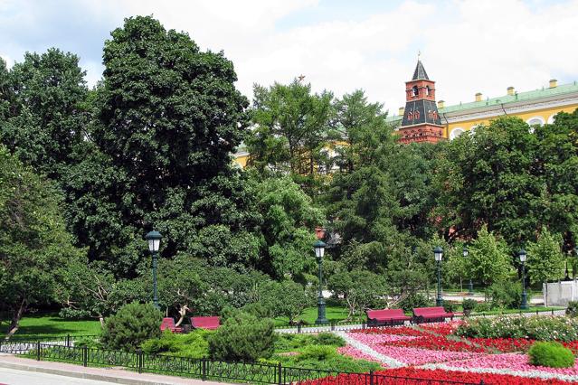 Alexander Garden